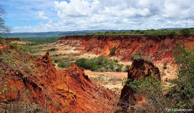 Madagaskar-Reise  Auf der Insel der Lemuren magische Momente erleben