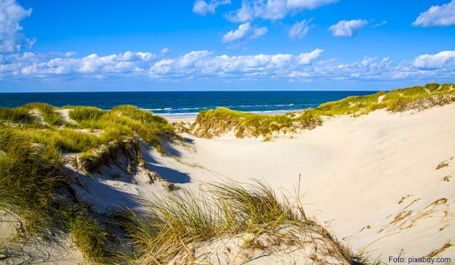 Besonders in den Sommermonaten ist ein Urlaub am Wasser sehr angenehm