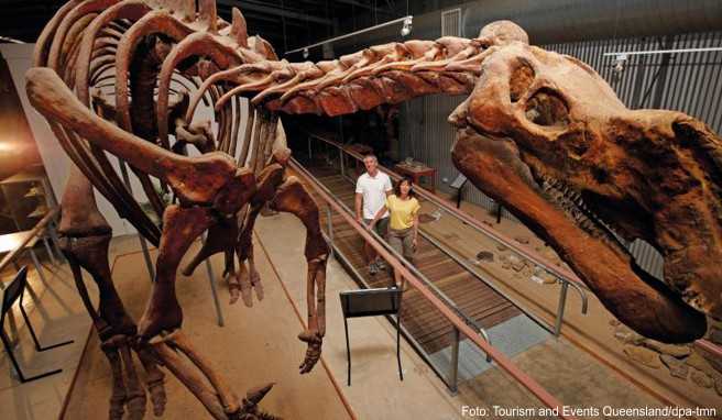Australien-Reise Im Outback können Touristen nach Fossilien buddeln