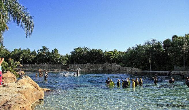  Delfinanlage in der Discovery Cove in Orlando, Florida, in der Besucher mit den Delfinen schwimmen können
