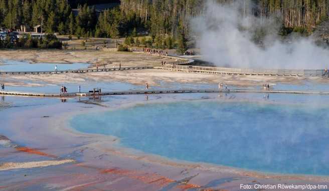 Freier Eintritt an fünf Tagen in 2020: Auch der Yellowstone National Park kann dann kostenlos besucht werden