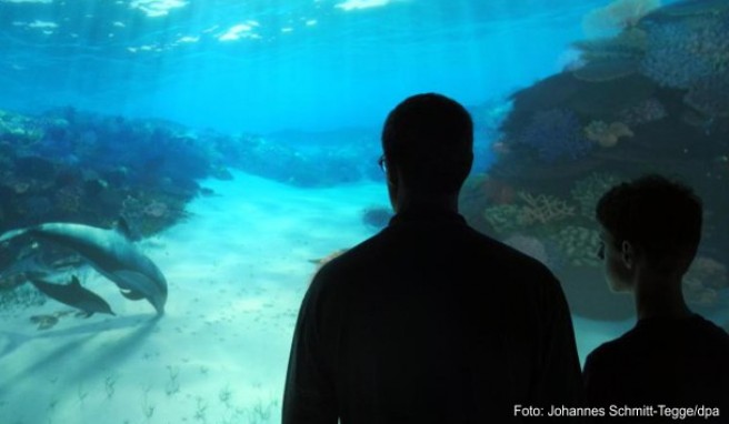 New York  Virtuelle Unterwasser-Ausstellung eröffnet