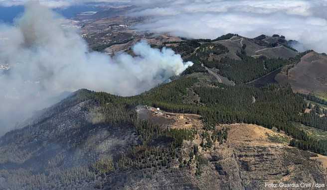 Kanaren-Reise Waldbrand auf Gran Canaria noch nicht unter Kontrolle