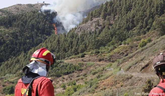 Der Waldbrand in den Bergen der spanischen Urlaubsinsel Gran Canaria wütet weiter