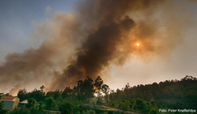 Waldbrände  Notrufnummer 112 gilt europaweit