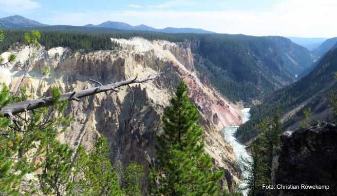 Der Grand Canyon of the Yellowstone ist einer der landschaftlichen Höhepunkte des Nationalparks