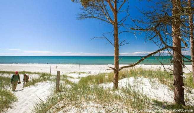 Der Weststrand auf der Ostsee-Halbinsel Fischland-Darß-Zingst ist einer der schönste Strände Europas