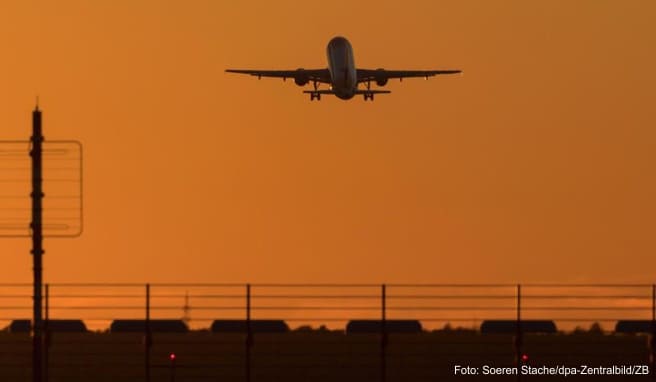 EU-Kommissar  Zertifikat für einfacheres Reisen soll Ende Juni kommen