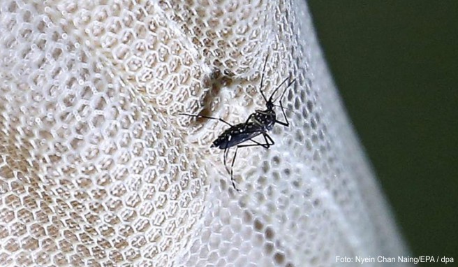 Übertragung durch Mücken  Bei Kinderwunsch Asien-Reisepläne wegen Zika prüfen