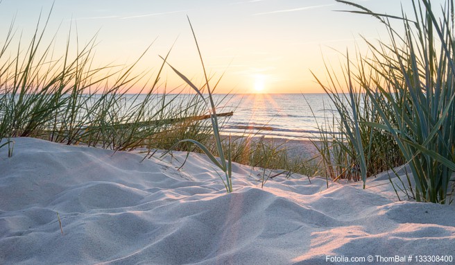 Am Strand findet man nicht nur schöne Fotomotive, sondern auch dekorative Souvenirs