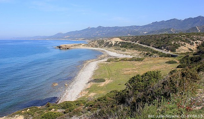 Der Strand an der Nordküste der Karpas-Halbinsel auf Zypern lädt zum Baden ein